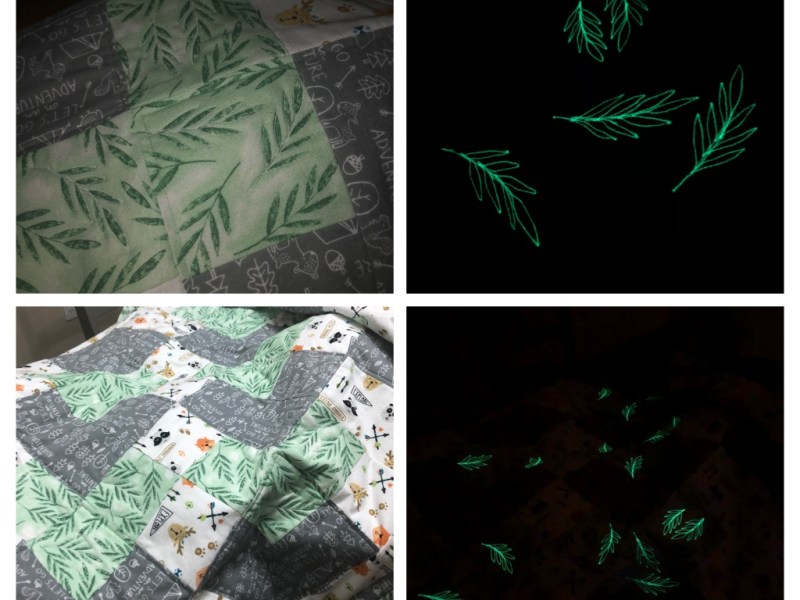 Night Time Camp&nbsp;Out