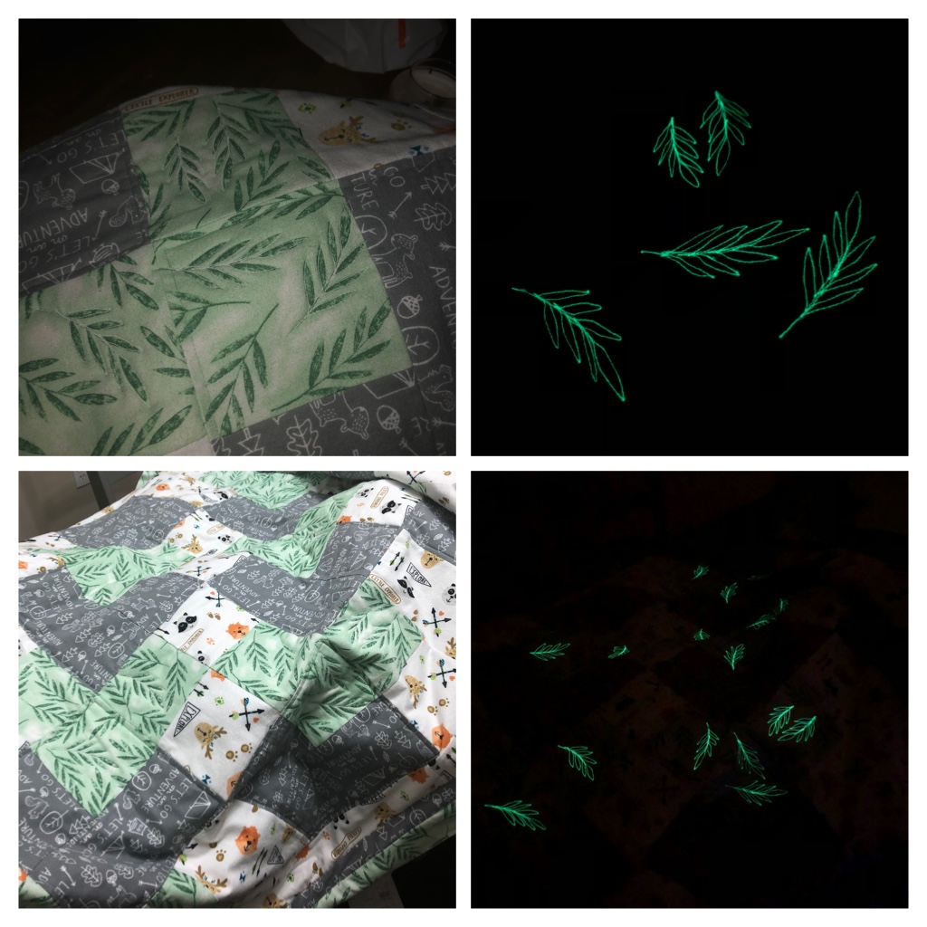 Night Time Camp&nbsp;Out